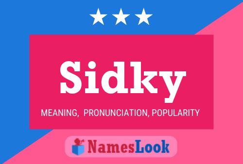 ملصق اسم Sidky