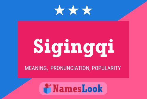 ملصق اسم Sigingqi