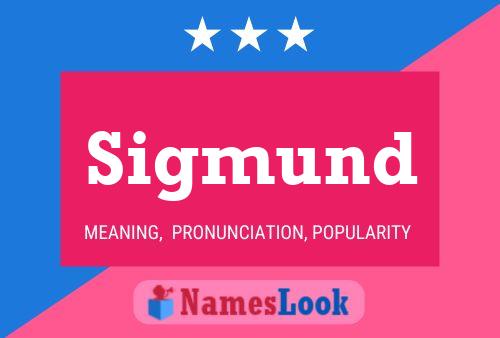 ملصق اسم Sigmund