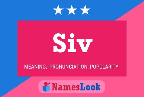 ملصق اسم Siv