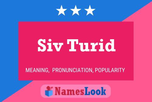 ملصق اسم Siv Turid