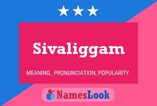 ملصق اسم Sivaliggam