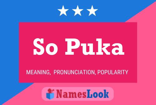 ملصق اسم So Puka