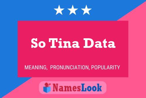 ملصق اسم So Tina Data