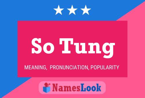 ملصق اسم So Tung