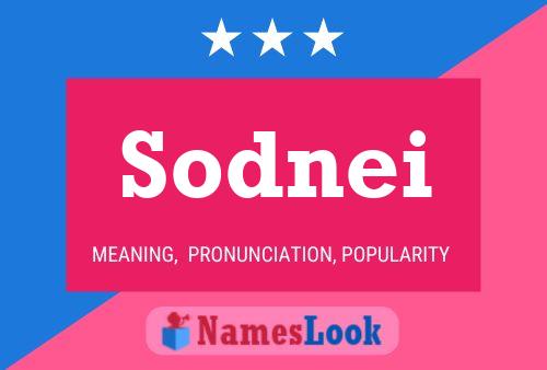 ملصق اسم Sodnei