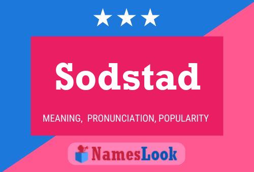 ملصق اسم Sodstad