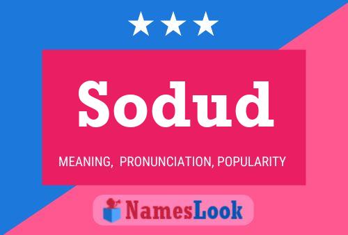 ملصق اسم Sodud