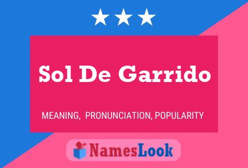 ملصق اسم Sol De Garrido