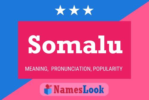 ملصق اسم Somalu