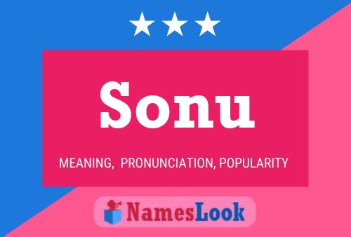 ملصق اسم Sonu