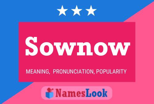 ملصق اسم Sownow