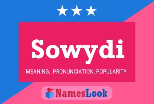 ملصق اسم Sowydi