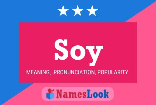 ملصق اسم Soy