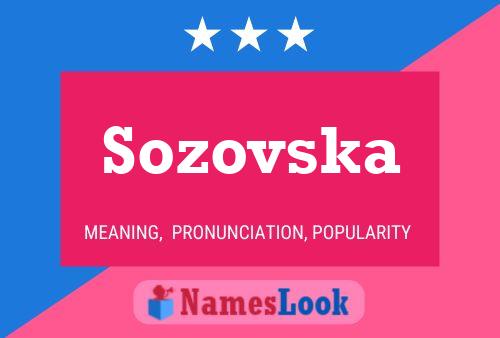 ملصق اسم Sozovska