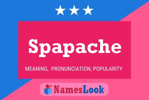 ملصق اسم Spapache