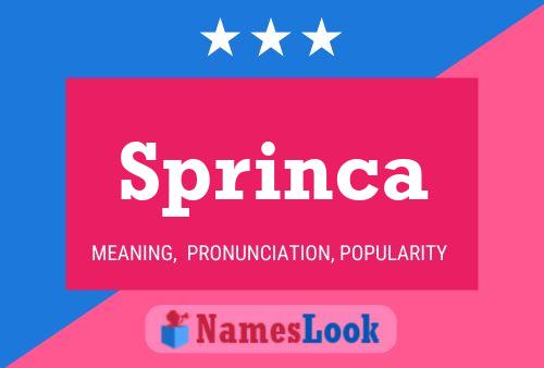 ملصق اسم Sprinca