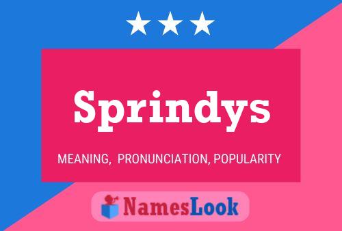 ملصق اسم Sprindys