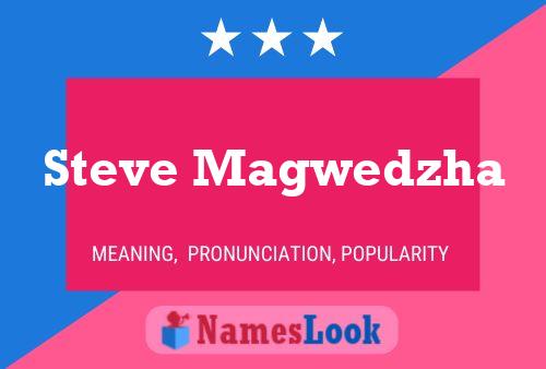 ملصق اسم Steve Magwedzha