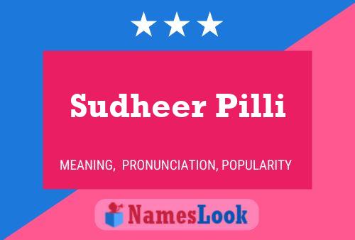 ملصق اسم Sudheer Pilli