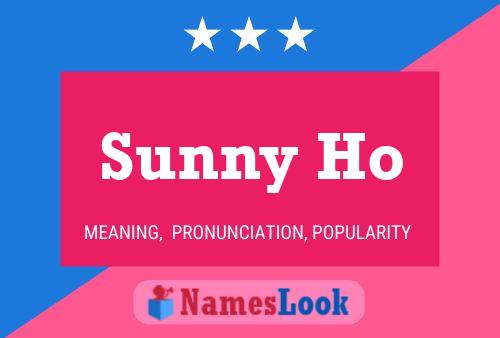 ملصق اسم Sunny Ho