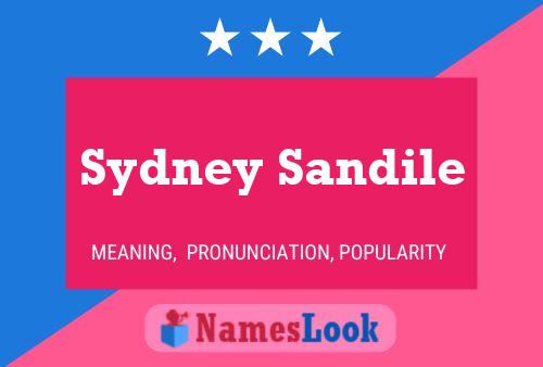 ملصق اسم Sydney Sandile