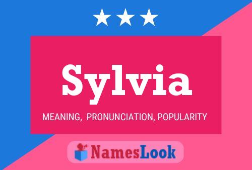 ملصق اسم Sylvia