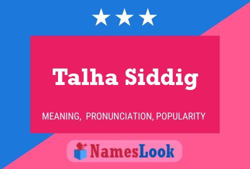 ملصق اسم Talha Siddig