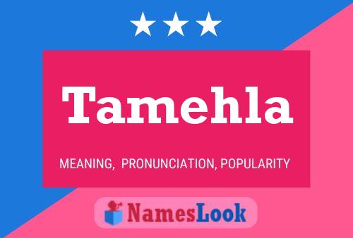 ملصق اسم Tamehla