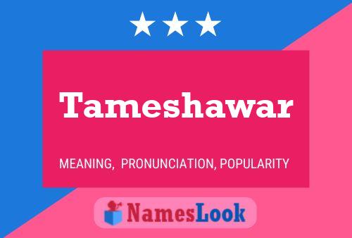 ملصق اسم Tameshawar