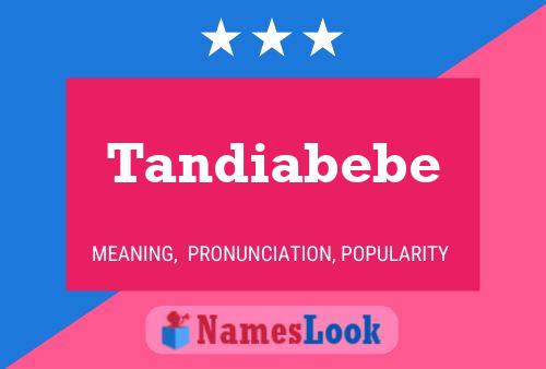 ملصق اسم Tandiabebe