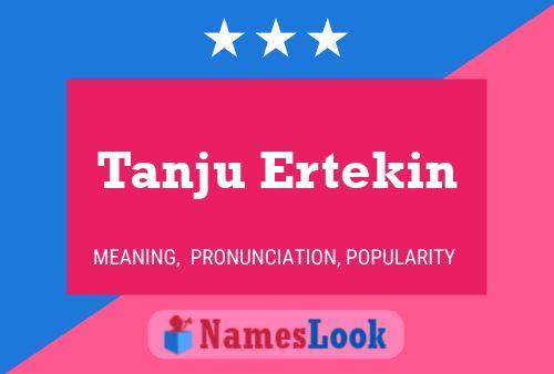 ملصق اسم Tanju Ertekin