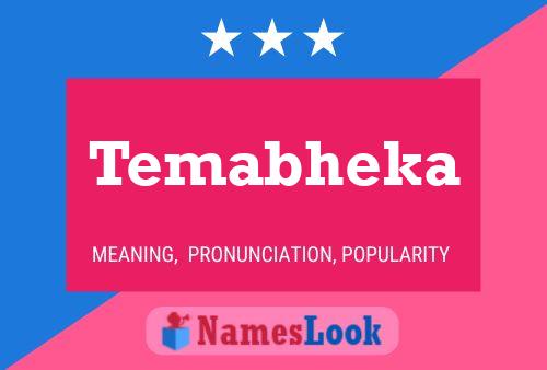 ملصق اسم Temabheka