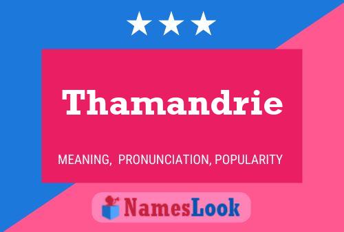 ملصق اسم Thamandrie