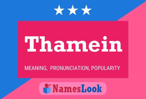 ملصق اسم Thamein