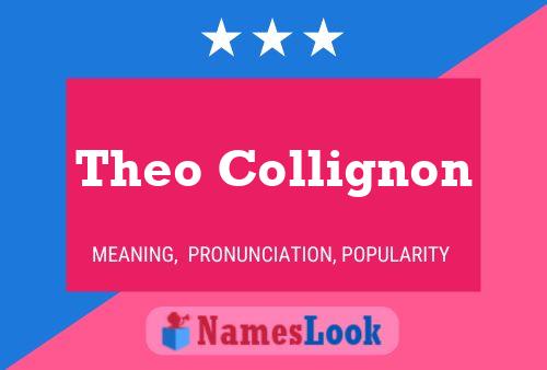 ملصق اسم Theo Collignon