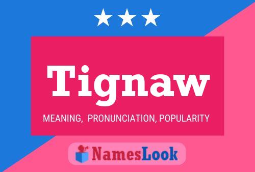 ملصق اسم Tignaw