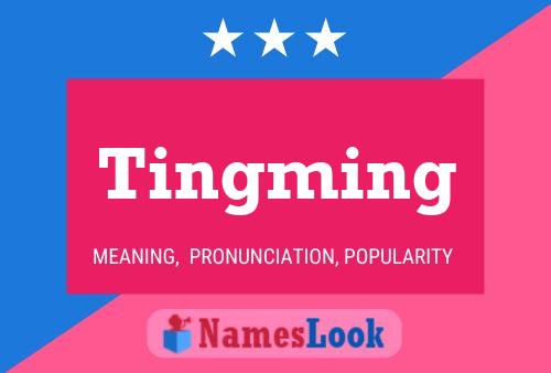 ملصق اسم Tingming