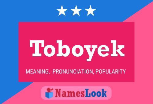 ملصق اسم Toboyek