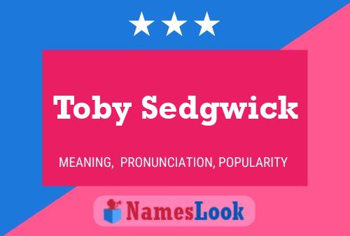 ملصق اسم Toby Sedgwick