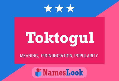 ملصق اسم Toktogul