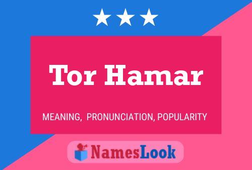 ملصق اسم Tor Hamar