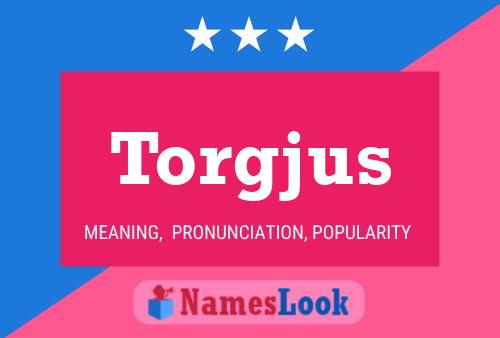 ملصق اسم Torgjus