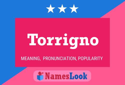 ملصق اسم Torrigno