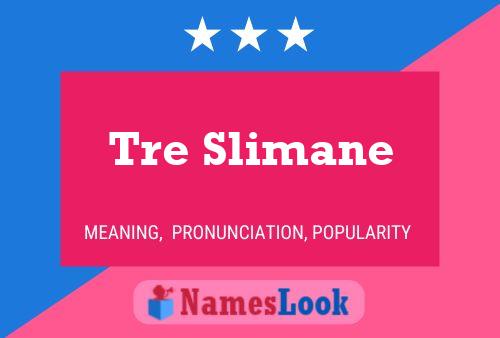 ملصق اسم Tre Slimane