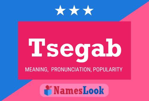 ملصق اسم Tsegab