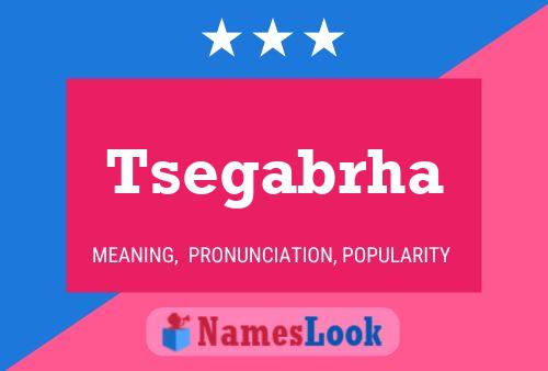 ملصق اسم Tsegabrha