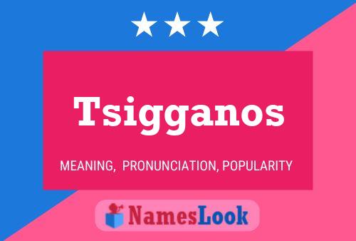 ملصق اسم Tsigganos