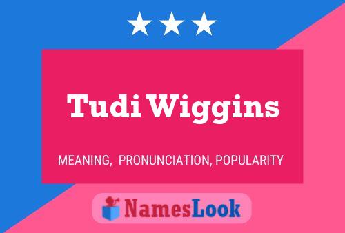 ملصق اسم Tudi Wiggins