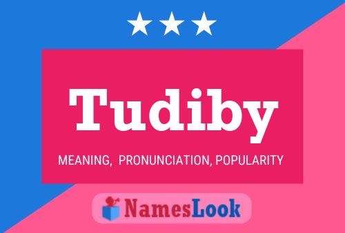 ملصق اسم Tudiby